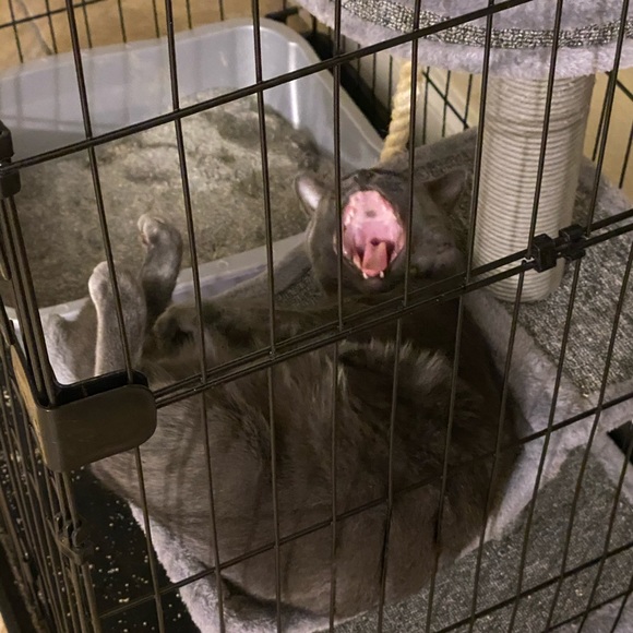 Meet your Posher, Melody - Picture 1 of 1